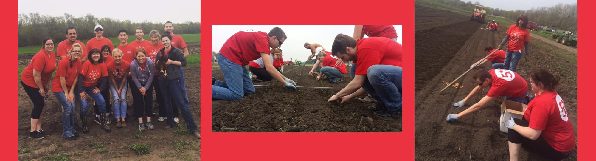 Target Store - Northfield volunteers at Seeds Farm