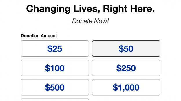 Screenshot of donation form showing donation amounts from $25 to $1,000